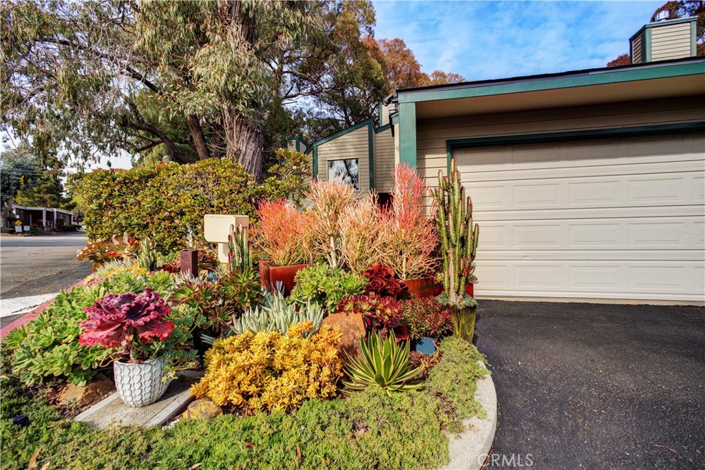 1445 Prefumo Canyon Road 1