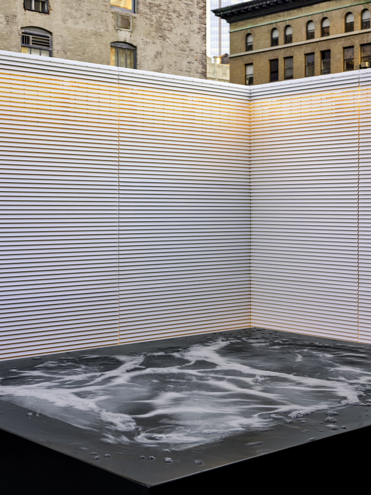 117 E 29TH Street PHB