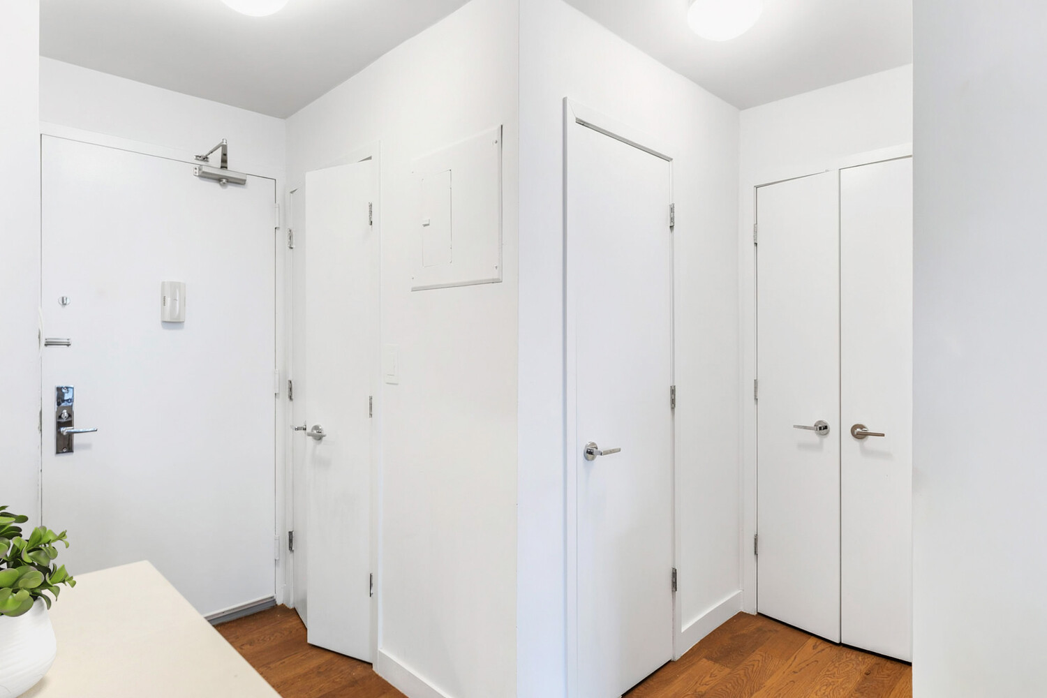 225 RECTOR Place 3B
