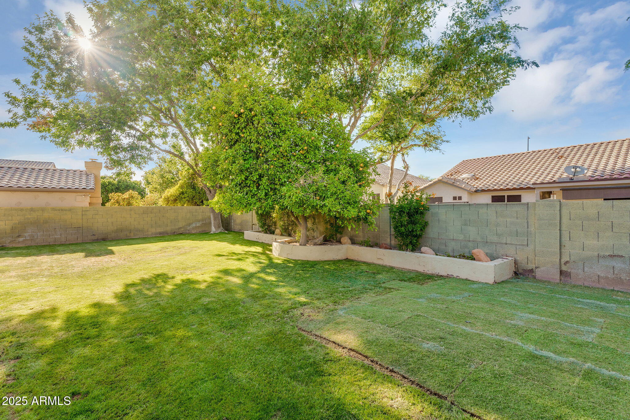 824 W MESQUITE Street