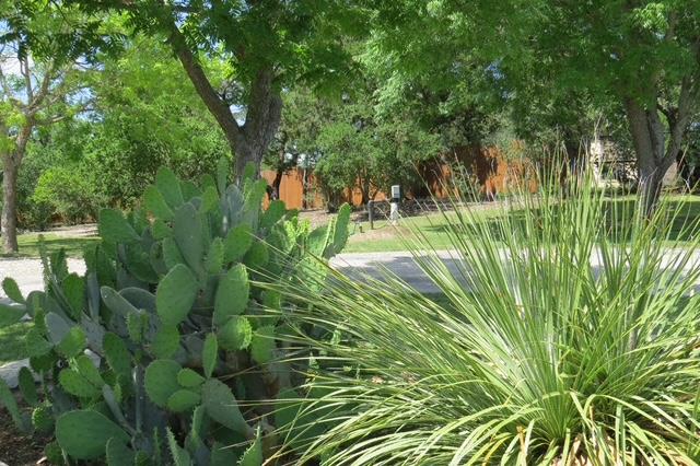 169 Royal Oaks Hill