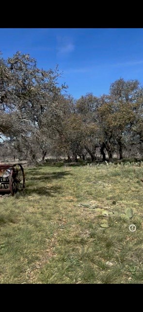 24622 W US Hwy 290