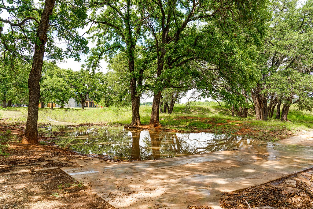 646 Victor Eckhardt Rd