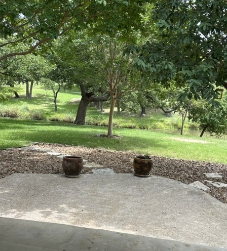 114 W Creekview Dr