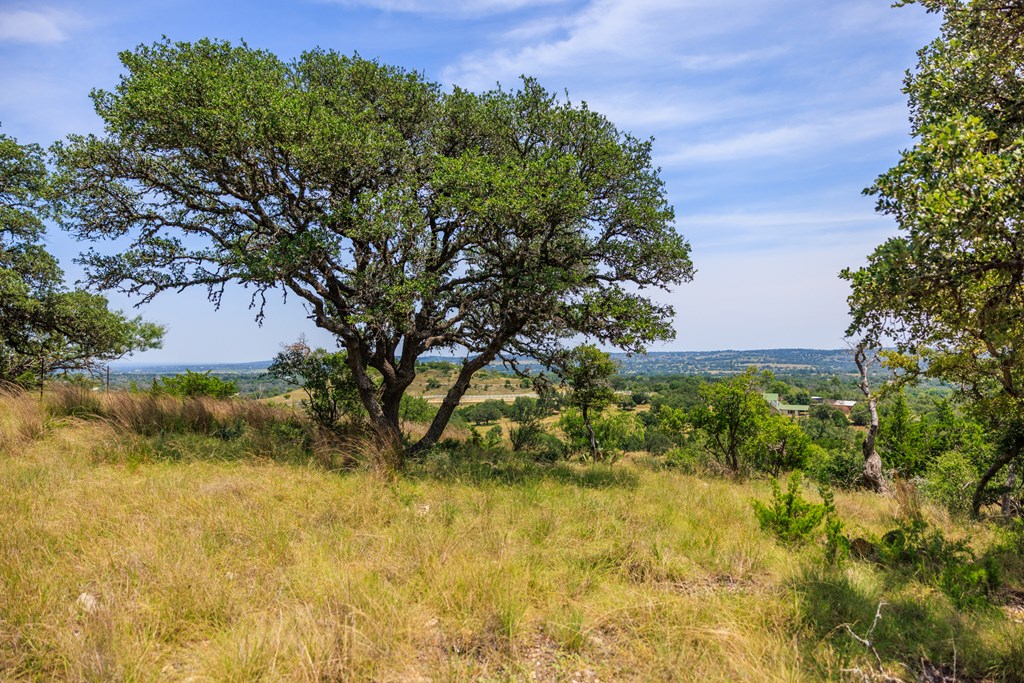 0 Paradise Ranch Rd # A Unit: 12-A