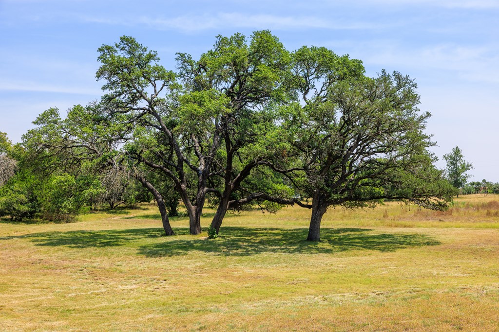 0 Paradise Ranch Rd # A Unit: 12-A