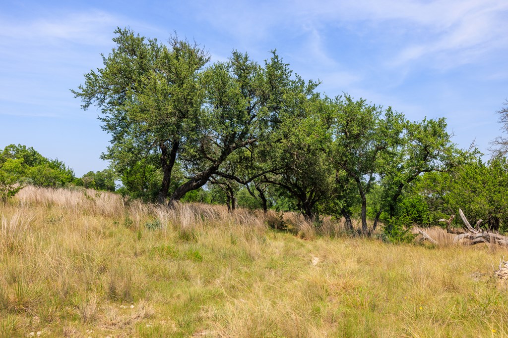 0 Paradise Ranch Rd # A Unit: 12-A