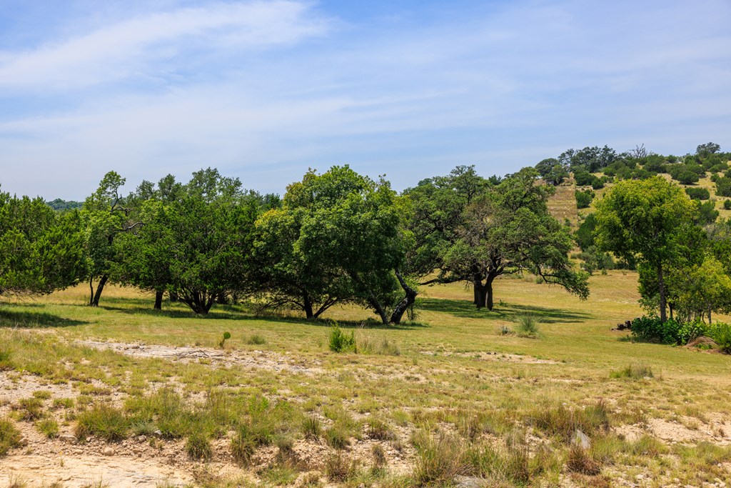0 Paradise Ranch Rd # A Unit: 12-A