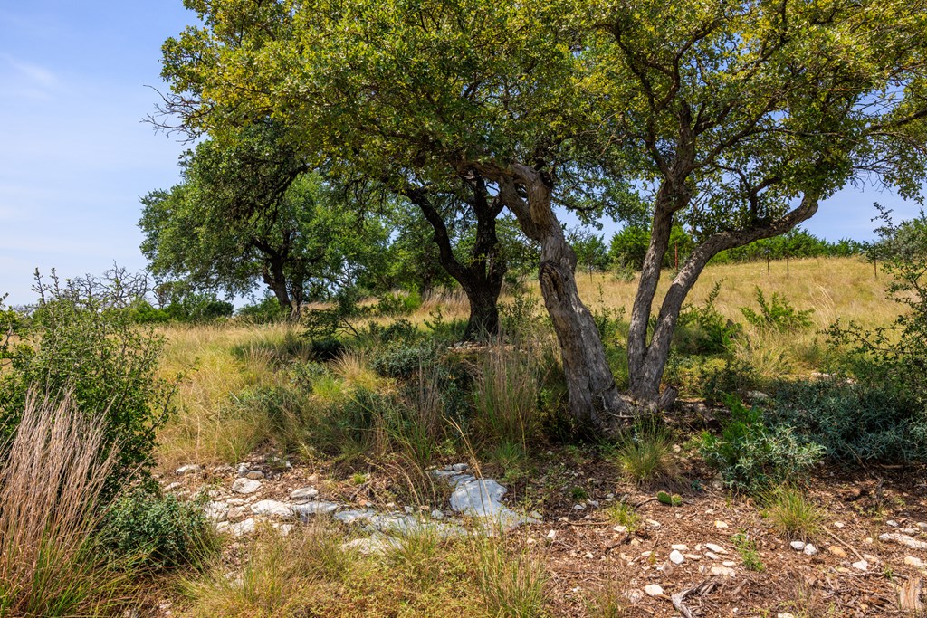 0 Paradise Ranch Rd # A Unit: 12-A