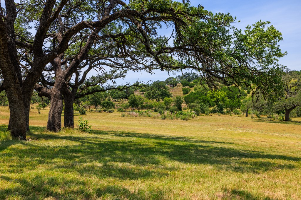 0 Paradise Ranch Rd # A Unit: 12-A