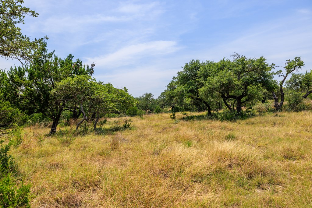 0 Paradise Ranch Rd # A Unit: 12-A