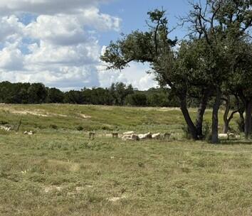 00 Cool Creek Rd # 89