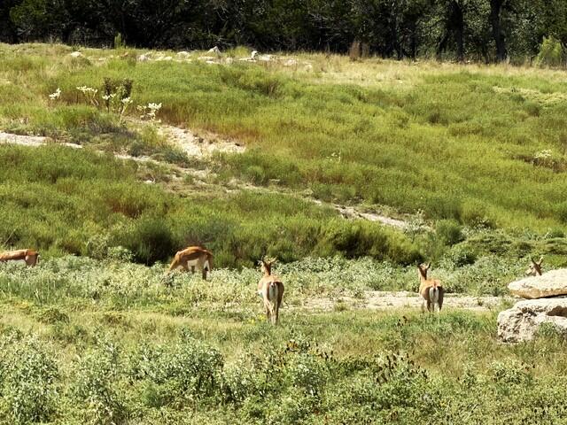 00 Cool Creek Rd # 89