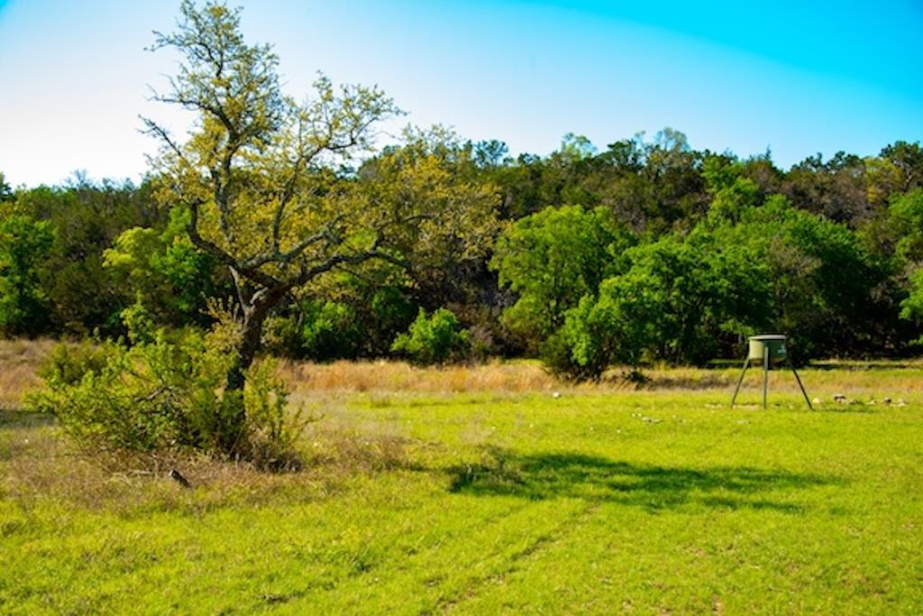 203 Rheingold School RD
