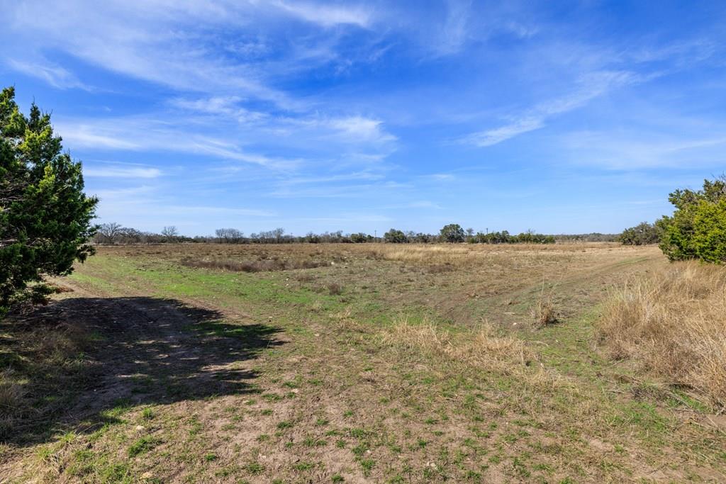 203 Rheingold School RD