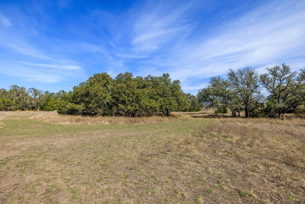 203 Rheingold School RD