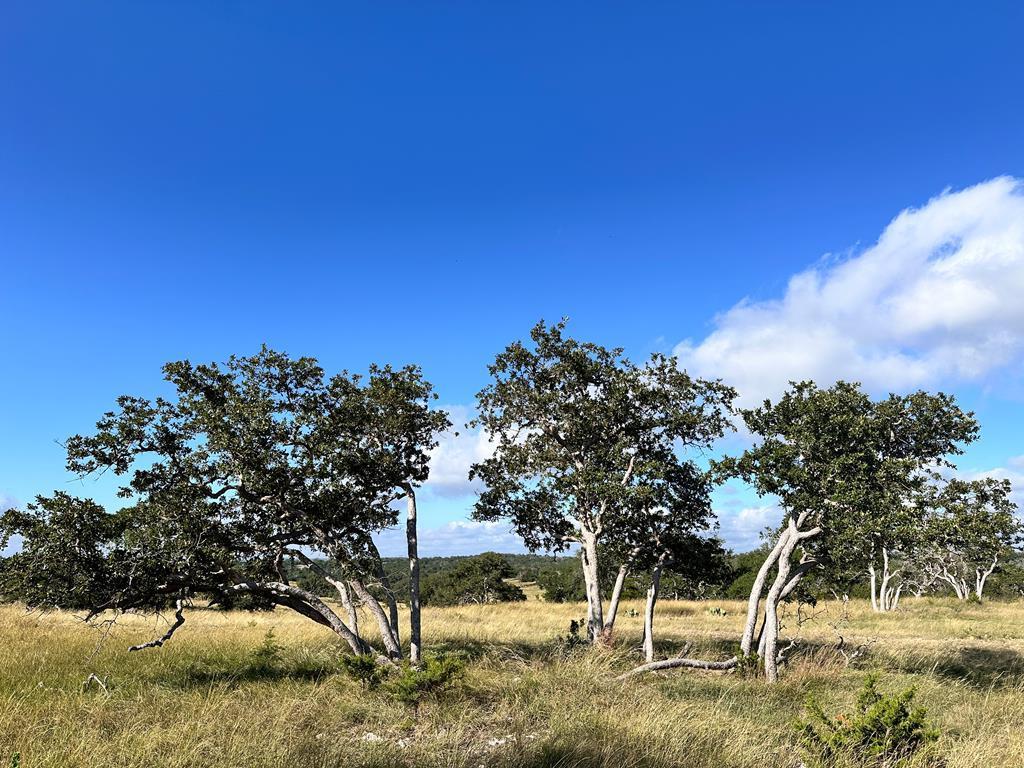 Lot 41 Buckskin Path PATH