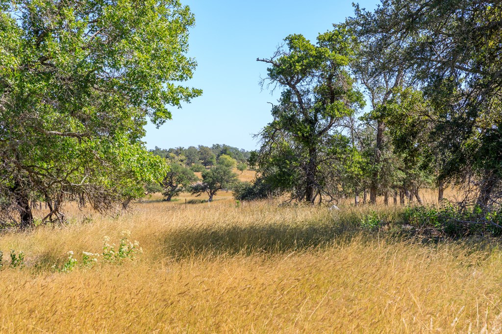 499 Inspiration Loop