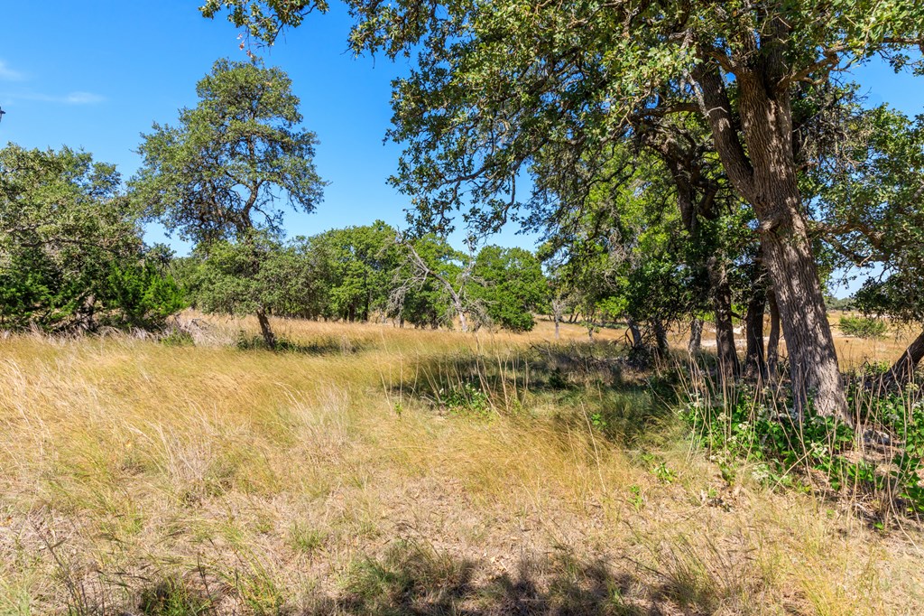 499 Inspiration Loop