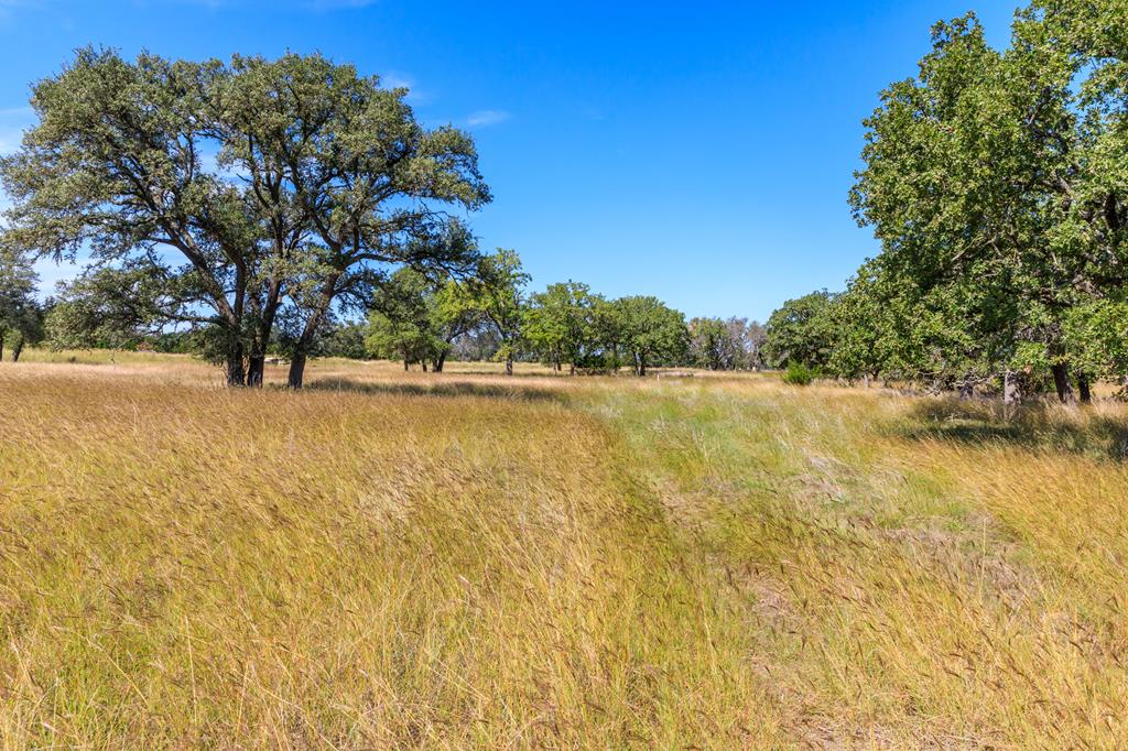 499 Inspiration Loop