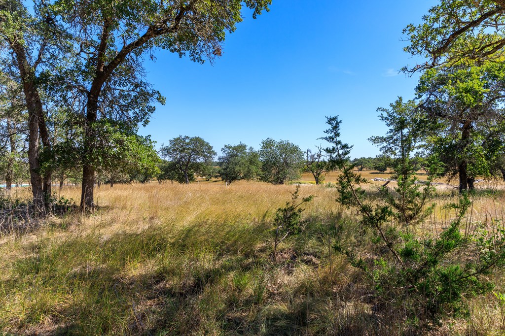 499 Inspiration Loop