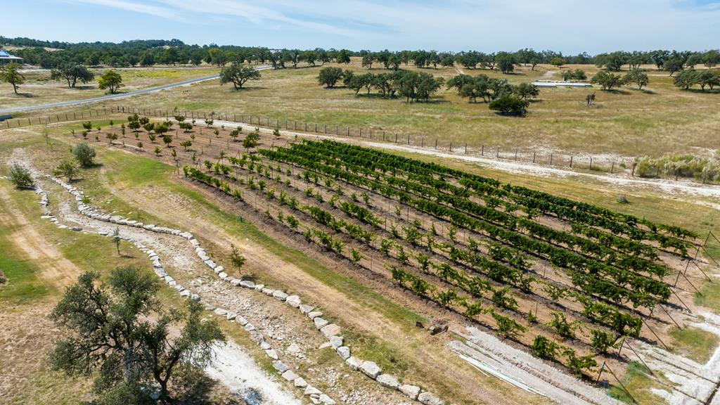 499 Inspiration Loop