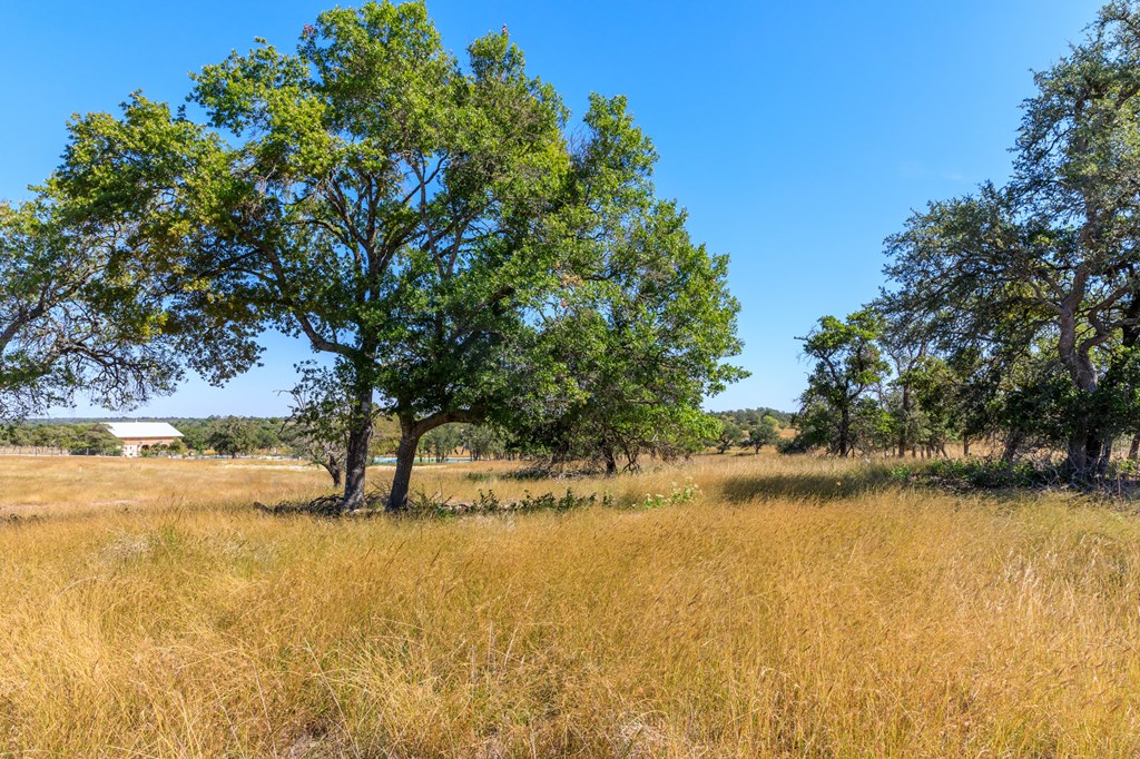 499 Inspiration Loop