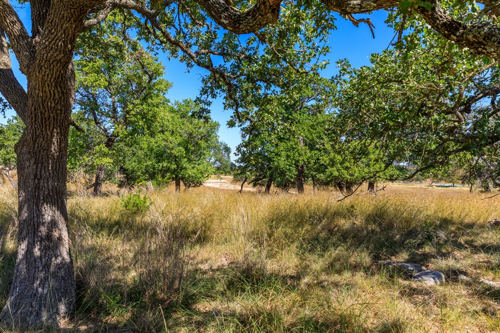 499 Inspiration Loop