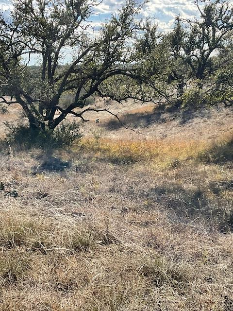 00 W Mountain View Dr