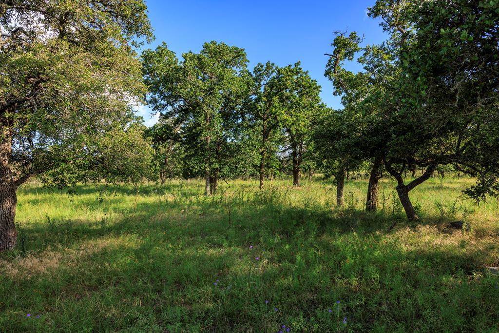 Lot 9 Inspiration Loop