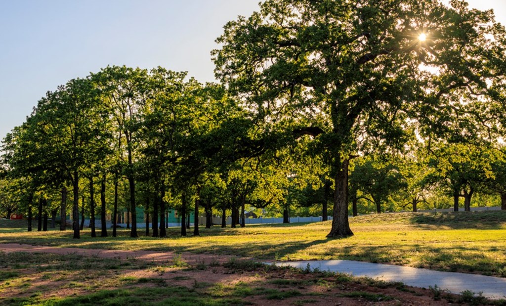 Lot 104 509 Interlaken St.