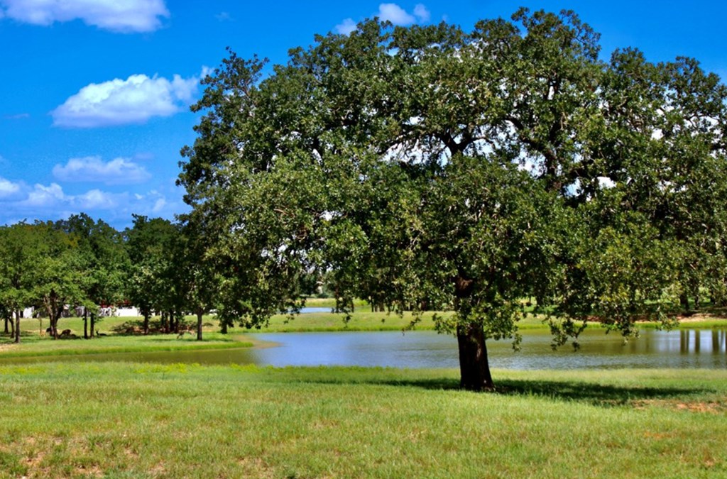 Lot 106 - 513 Interlaken St.