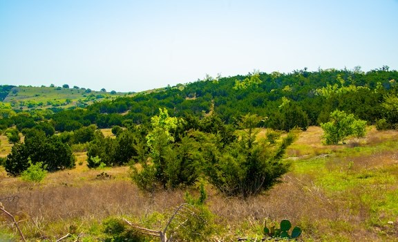 203 N Rheingold School Rd