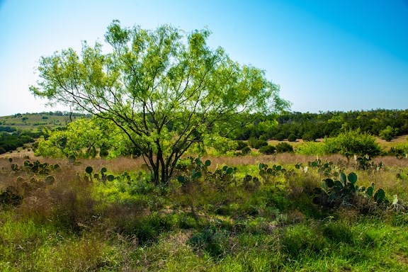 203 N Rheingold School Rd