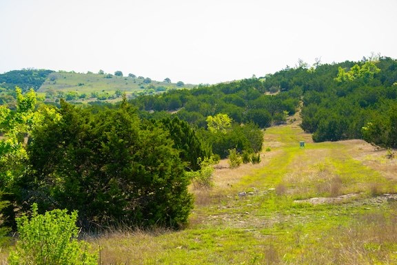 203 N Rheingold School Rd