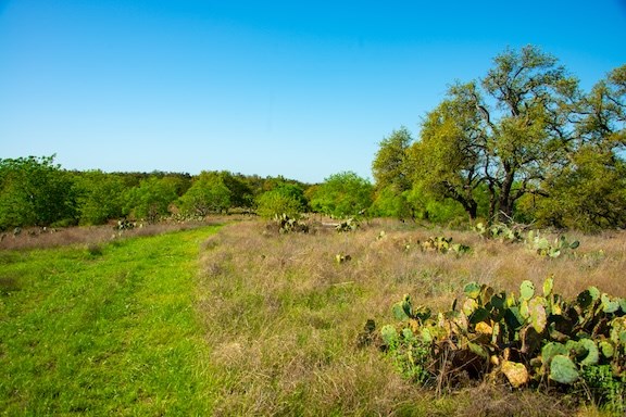 203 N Rheingold School Rd