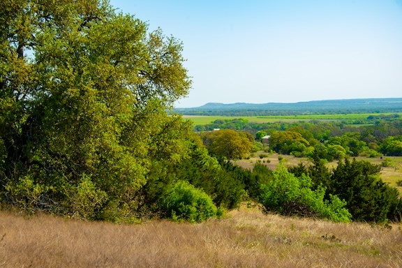 203 N Rheingold School Rd