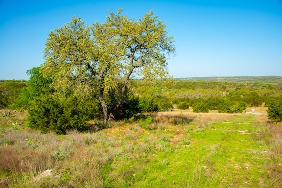 203 N Rheingold School Rd