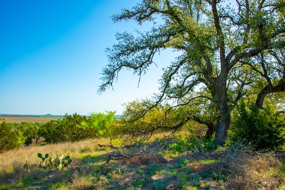 203 N Rheingold School Rd