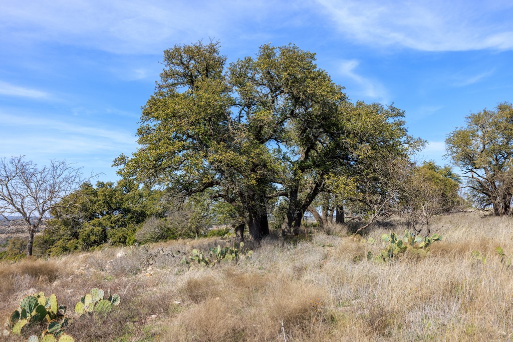 203 N Rheingold School Rd