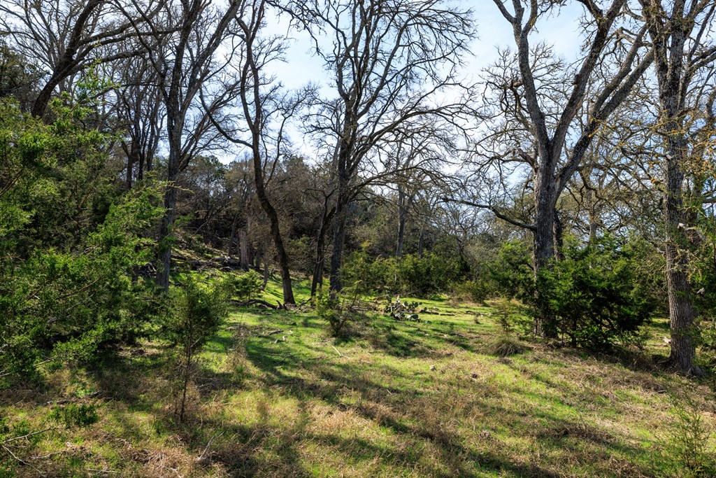 203 N Rheingold School Rd