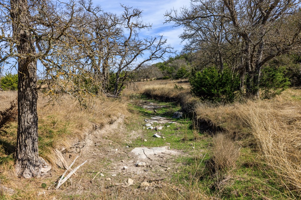 203 N Rheingold School Rd