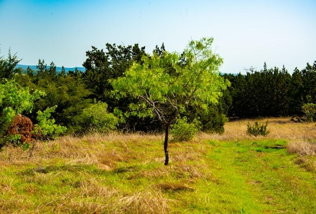 203 N Rheingold School Rd