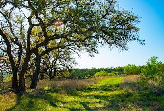 203 N Rheingold School Rd