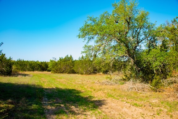 203 N Rheingold School Rd