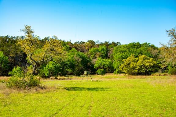 203 N Rheingold School Rd