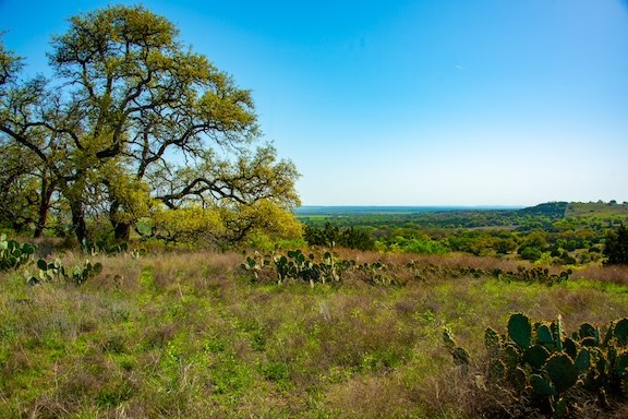 203 N Rheingold School Rd