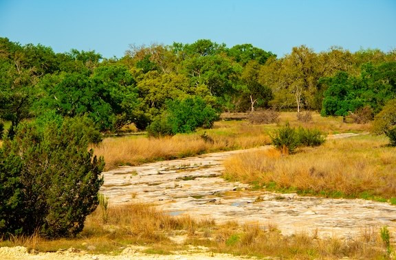 203 N Rheingold School Rd