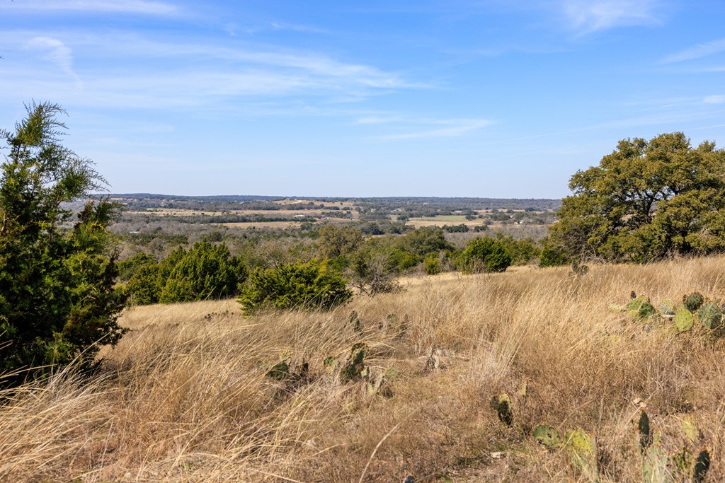 203 N Rheingold School Rd