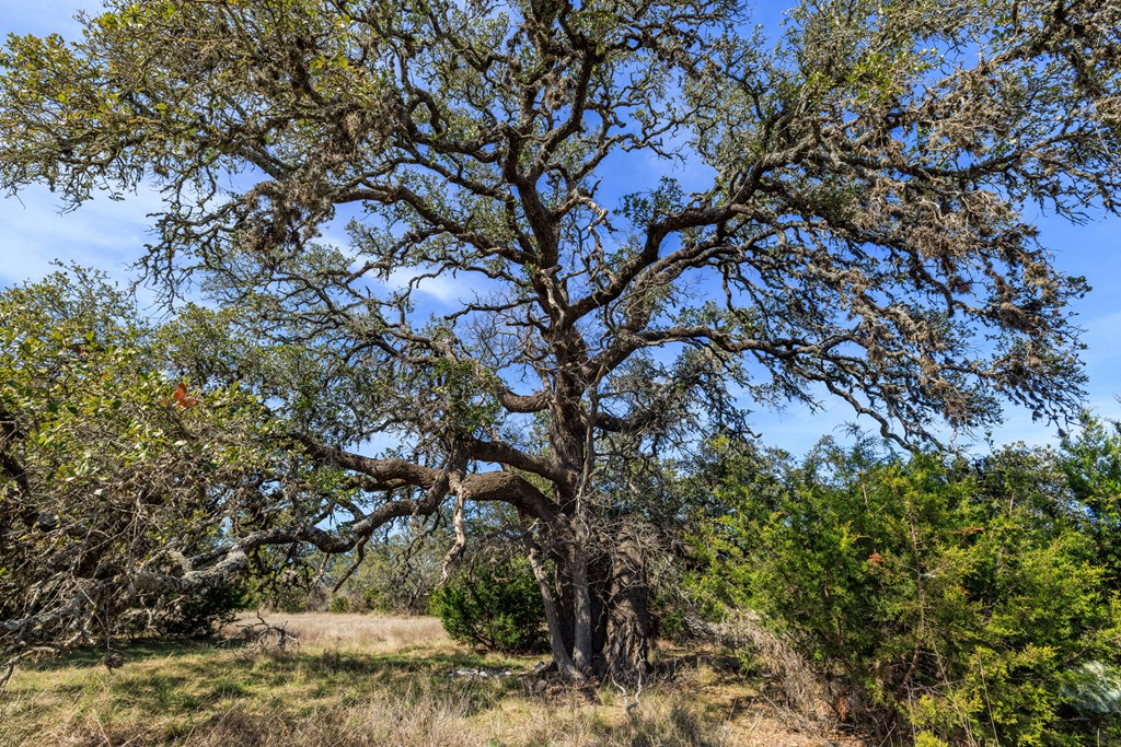 203 N Rheingold School Rd